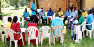 Health Systems Strengthening (HSS) Project