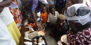 Under five and expectant mothers Nutrition Project