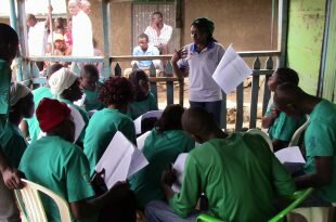 Health System Strengthening